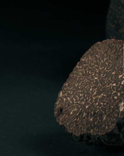 Czarna trufla zimowa (Tuber Melanosporum Vitt.)