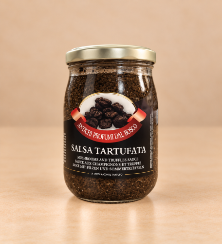 Salsa 500cz.png